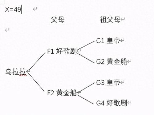 夏合宿游戏攻略(夏合宿)插图3