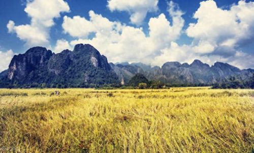 都在玩什么游戏(都在玩什么手游)插图7 都在玩什么游戏(都在玩什么手游)插图7