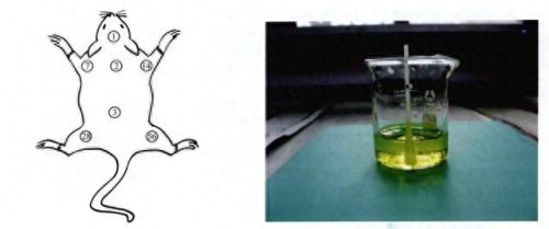 刺激战场装备标记(怎么标记装备差多少钱)