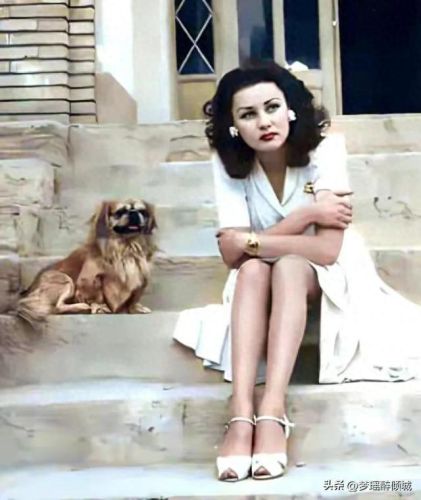 埃及公主的传说无敌版(双瞳埃及公主)插图14 埃及公主的传说无敌版(双瞳埃及公主)插图14