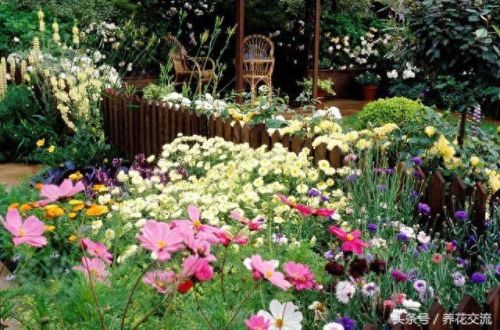 花圃种植(花圃种植基地)插图