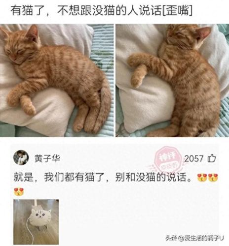 李明华味调料(李明华调味料什么梗)插图25