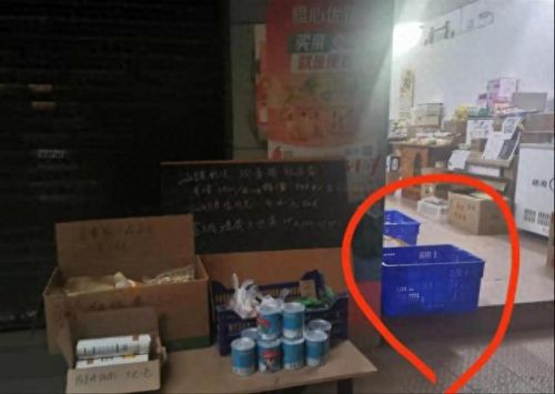 网上买菜(网上买菜哪个平台好)插图9