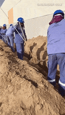 迈开腿尝尝你的草莓是什么(迈开腿尝尝森林的味道)插图19