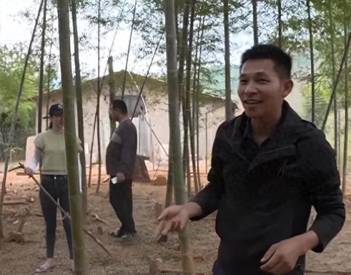 跳跳猪(跳跳猪玩具对婴儿危害)插图8 跳跳猪(跳跳猪玩具对婴儿危害)插图8