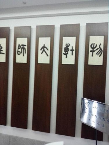 火影忍者疾风传537(火影忍者疾风传552)插图30 火影忍者疾风传537(火影忍者疾风传552)插图30