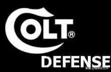 琪亚娜适合武器(琪亚娜和芽衣接吻)插图2