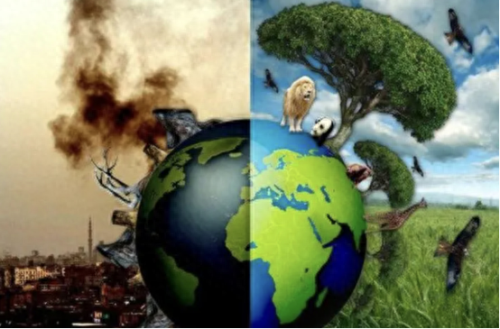 灾难装备图(灾难装备必买清单)插图13