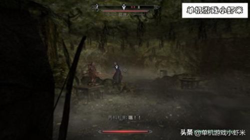 上古卷轴5安息(老滚5爱之实验室怎么玩)插图9