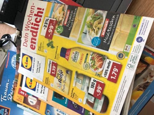 德语助手手机版(德语助手永久vip价格)插图