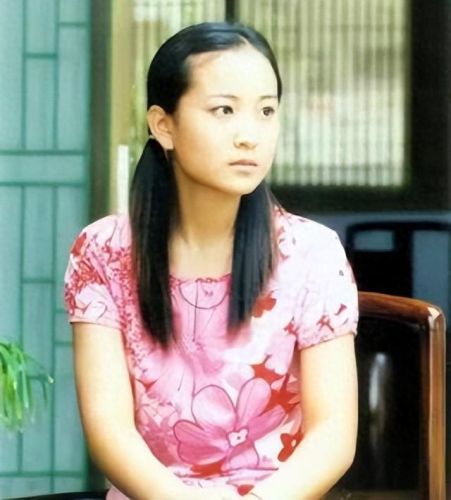 贾玲妈妈(贾玲母亲怎么去世的)插图5