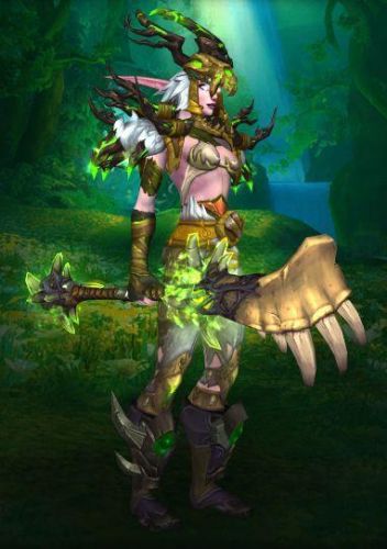 德鲁伊幻化(魔兽世界dps排行榜)插图2