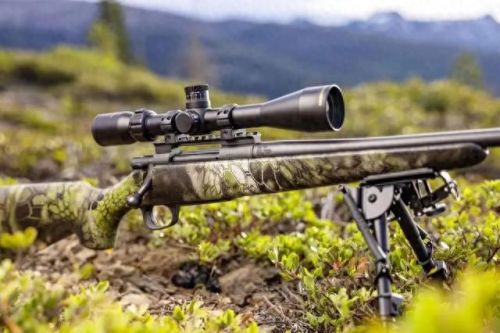 狂蟒之吻(狂蟒2电影完整版)