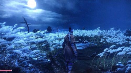 只狼结局(只狼剧情)插图2