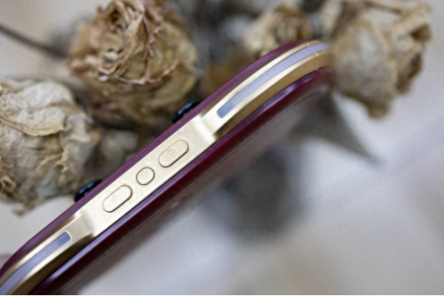 暗黑血统手柄(手柄暗黑)插图15