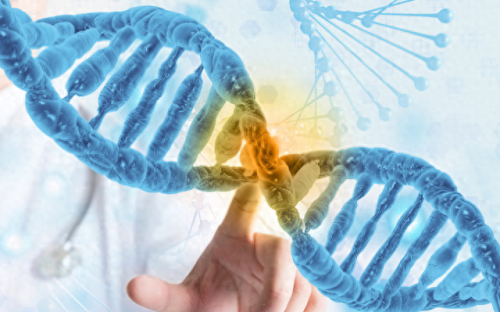 畜禽和人类AA(畜禽产品质量安全方面的工作总结)插图8 畜禽和人类AA(畜禽产品质量安全方面的工作总结)插图8