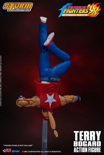 拳皇特瑞(特瑞)插图5