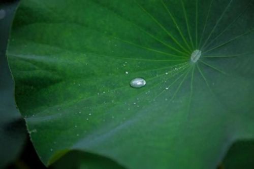 太阳西边下月亮东边挂打一字(千里相逢猜一字)插图 太阳西边下月亮东边挂打一字(千里相逢猜一字)插图