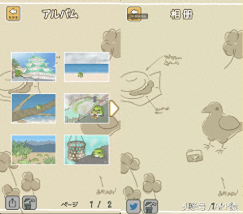 去旅行蛙攻略(青蛙与佛系旅游攻略)插图18