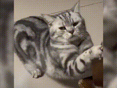 越狱禁闭攻略第七关(不可能完成的越狱第一关攻略)插图3