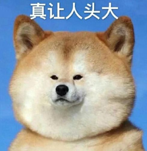 梦幻西游狐美人转梦玲珑(梦幻西游之梦玲珑介绍)