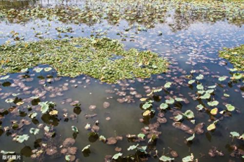 浅塘100-200图文攻略(浅塘120关图文攻略)插图1