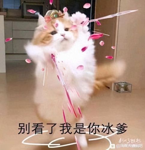 唐门技能名剑三(剑三适合唐门的名字)插图3 唐门技能名剑三(剑三适合唐门的名字)插图3