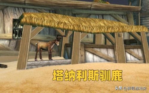 魔兽世界冬幕节坐骑(魔兽世界冬慕节坐骑)