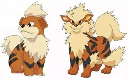 卡蒂狗(卡蒂狗阿尔宙斯)插图