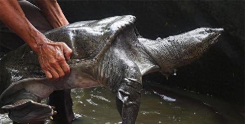 亚洲是图50(亚洲地图2060)插图4