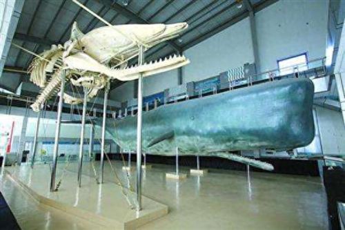 火影忍者疾风传537(火影忍者疾风传552)插图22 火影忍者疾风传537(火影忍者疾风传552)插图22