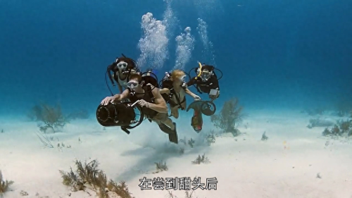 远古宝藏的线索(远古宝藏的线索有什么用)插图1 远古宝藏的线索(远古宝藏的线索有什么用)插图1