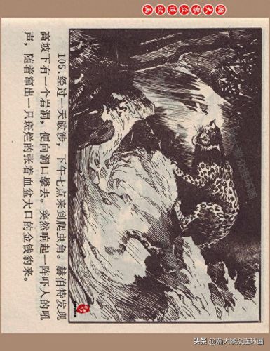 重返神秘岛1(重返神秘岛1机器人密码)插图105