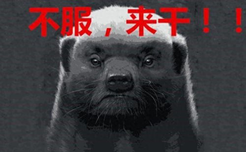 拉结尔分解的装备可以找回吗(拉结尔怎么重新分解装备)插图1 拉结尔分解的装备可以找回吗(拉结尔怎么重新分解装备)插图1