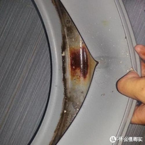 最好的洗衣机(最贵的洗衣机)插图27