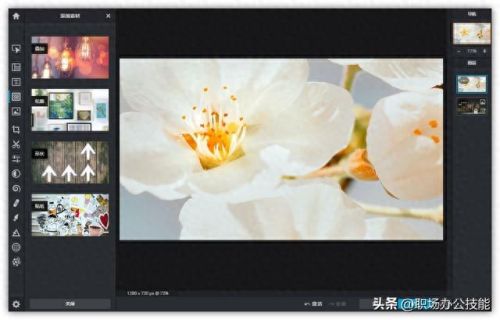 处理图片的软件有哪些(免费图片处理软件)插图8