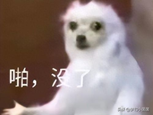 环世界怎么修改武器(环世界武器怎么处理)插图8