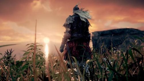 艾尔登法环(艾尔登法环正式版图文攻略)插图14 艾尔登法环(艾尔登法环正式版图文攻略)插图14