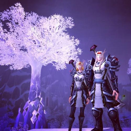 魔兽世界最顶级板甲幻化(魔兽世界比基尼板甲)插图5