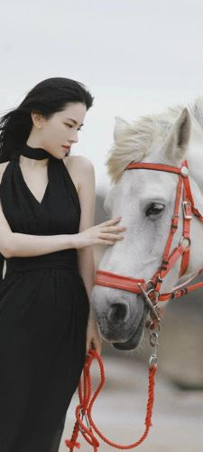 美女精灵(精灵宝可梦美女被控制)插图11