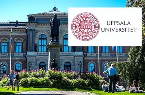 瑞典排名前十的高中(瑞典好吗)插图 瑞典排名前十的高中(瑞典好吗)插图