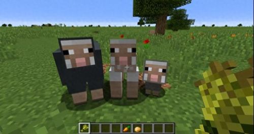 我的世界怎么养动物(我的世界动物饲养基地)插图4 我的世界怎么养动物(我的世界动物饲养基地)插图4