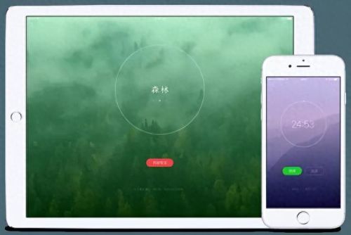 好看的平台(好看直播平台app)