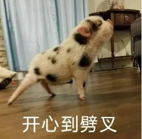 没有充值入口的手游(零充值手游)插图 没有充值入口的手游(零充值手游)插图