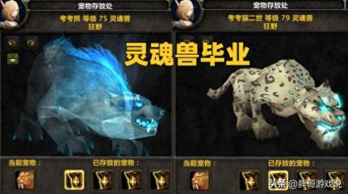 祖达克灵魂兽(祖达克狼哪里抓)插图1