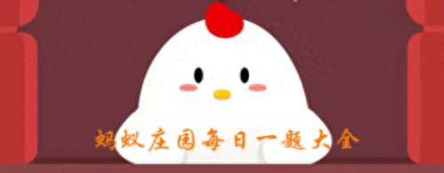 竹子实际上是什么(竹子花的图片)