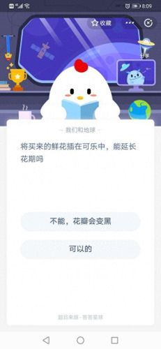 鲜花插在可乐中(买的鲜花插在可乐中)