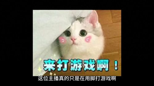 季中杯(季中杯赛程)插图4