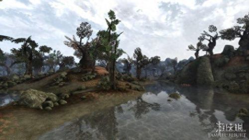 上古卷轴3晨风(上古卷轴晨风在哪)插图 上古卷轴3晨风(上古卷轴晨风在哪)插图