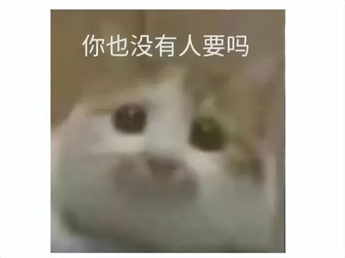 帝国时代手游版(帝国时代安卓手机完美移植版)插图 帝国时代手游版(帝国时代安卓手机完美移植版)插图